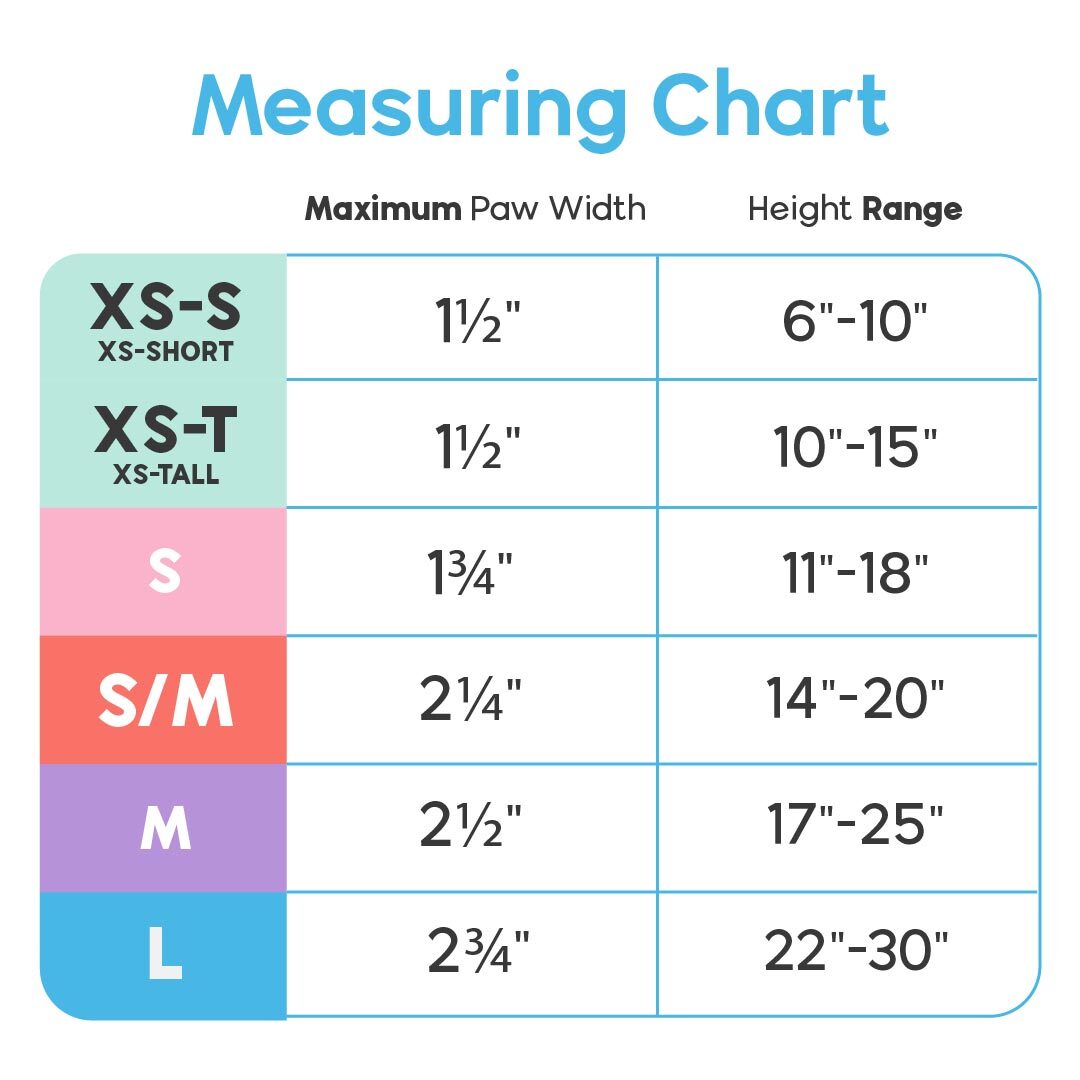 Cavapoo Average Inches Cavapoo Size Chart