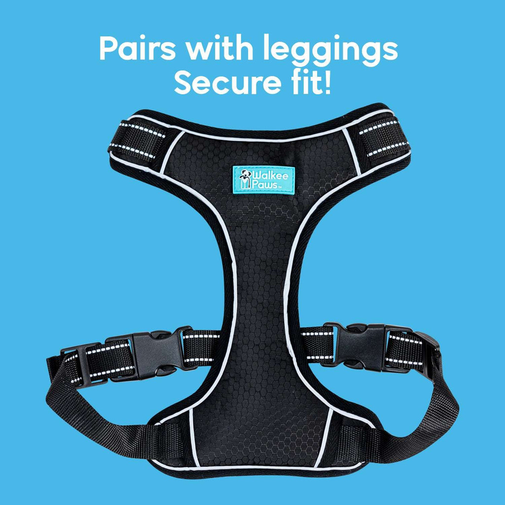Harness that has a secure fit