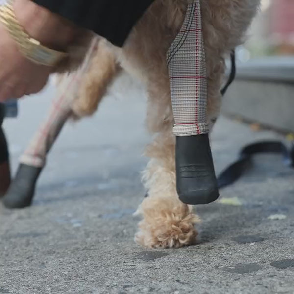 Deluxe Dog Boot Leggings