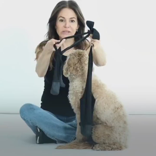 Deluxe Dog Boot Leggings