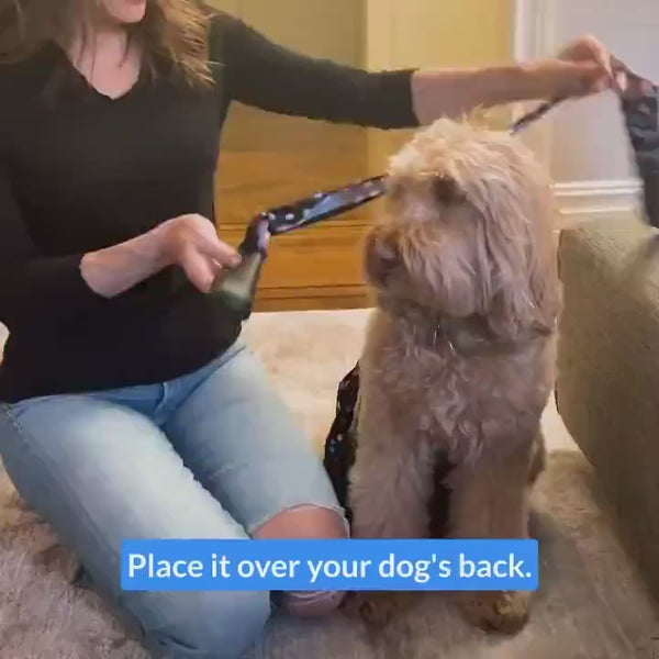Deluxe Dog Boot Leggings