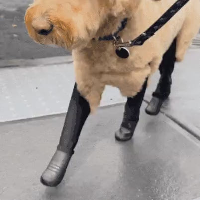 Deluxe Dog Boot Leggings