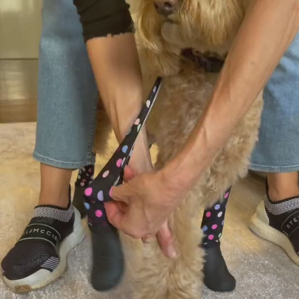 Deluxe Dog Boot Leggings