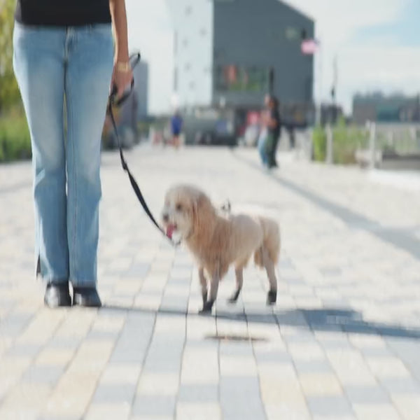 Deluxe Dog Boot Leggings