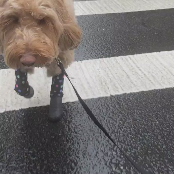 Deluxe Dog Boot Leggings