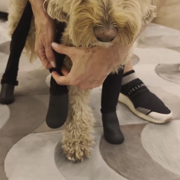 Deluxe Dog Boot Leggings