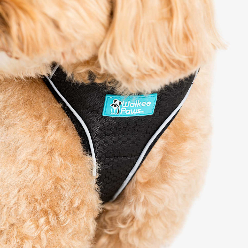 Super chic design is suitable for all dogs.