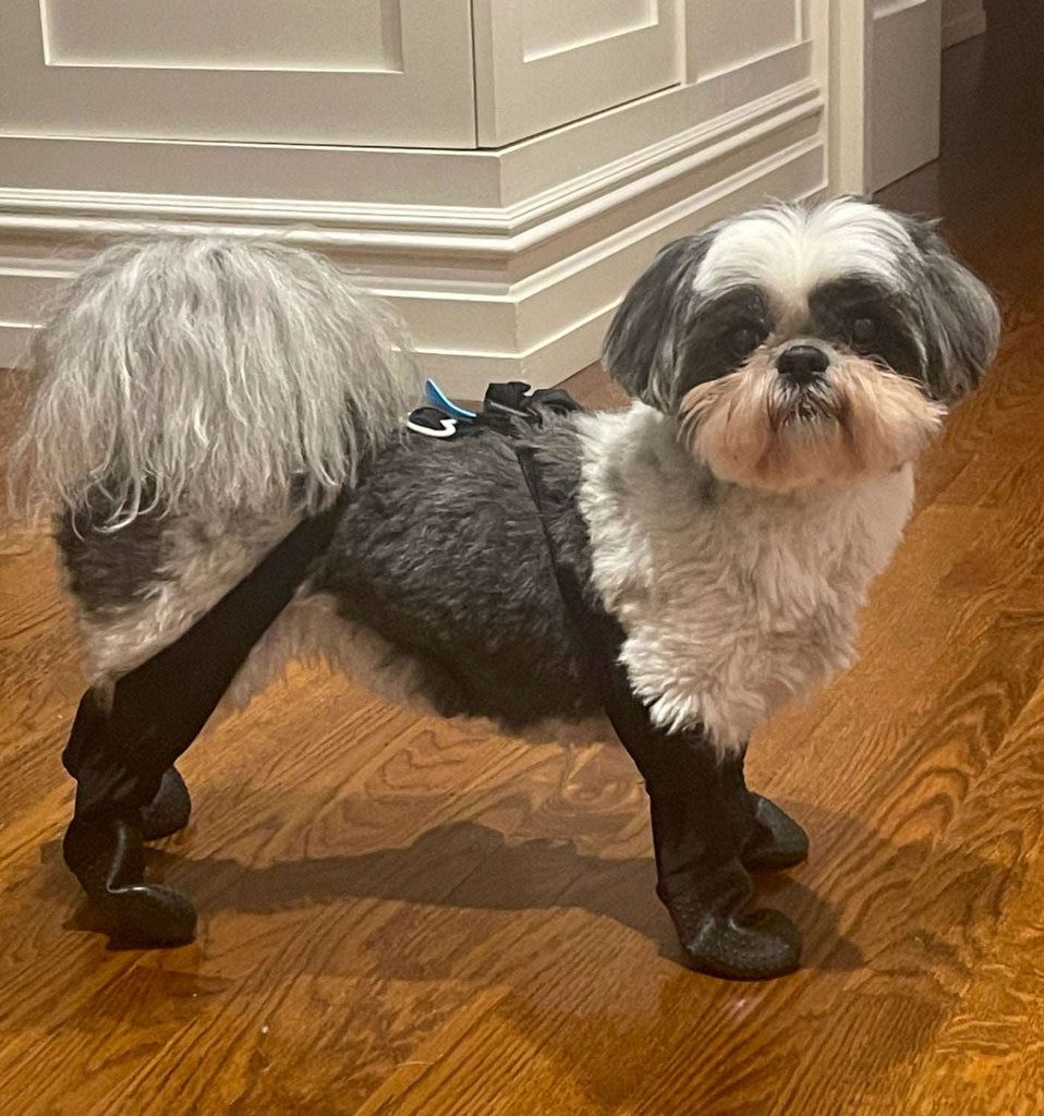 Adjustable Fit Dog Boot Leggings