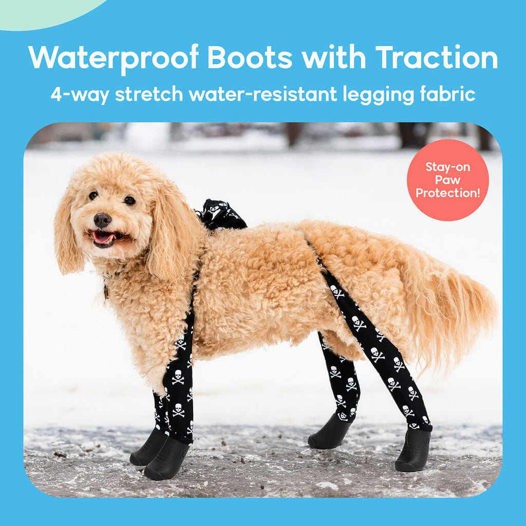 A dog wearing Walkee Paws dog shoes with waterproof boots and traction, attached to 4-way stretch water-resistant legging fabric, designed for stay-on paw protection. The image is set in a snowy outdoor environment.