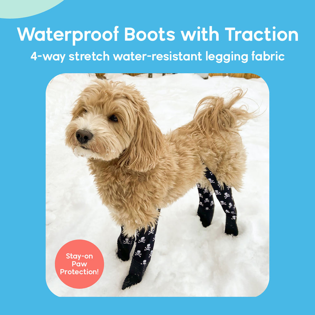 A dog wearing Walkee Paws dog shoes with waterproof boots and traction, attached to 4-way stretch water-resistant legging fabric, designed for stay-on paw protection. The image is set in a snowy outdoor environment.