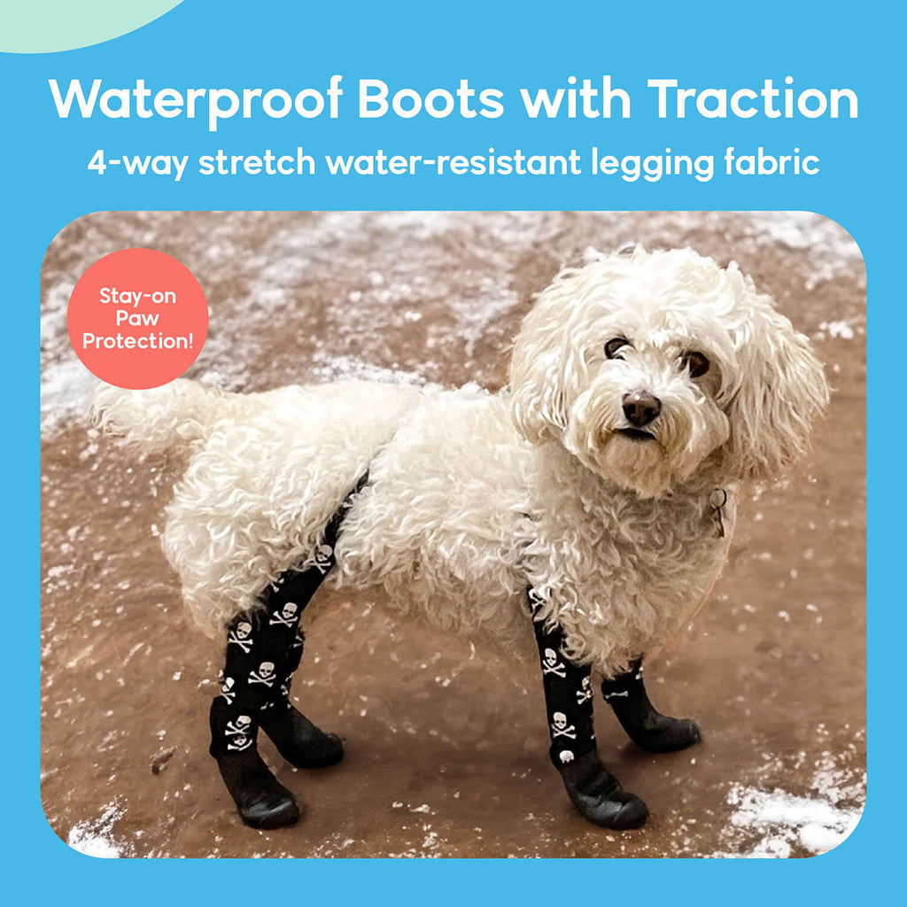 A dog wearing Walkee Paws dog shoes with waterproof boots and traction, attached to 4-way stretch water-resistant legging fabric, designed for stay-on paw protection. The image is set in a snowy outdoor environment.