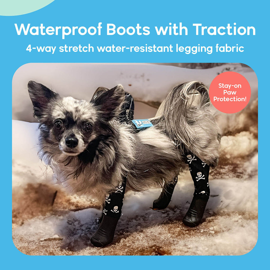 A dog wearing Walkee Paws dog shoes with waterproof boots and traction, attached to 4-way stretch water-resistant legging fabric, designed for stay-on paw protection. The image is set in a snowy outdoor environment.