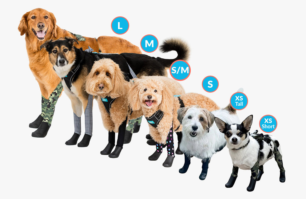 Paw Size Chart For Dogs at Jack Yarnold blog
