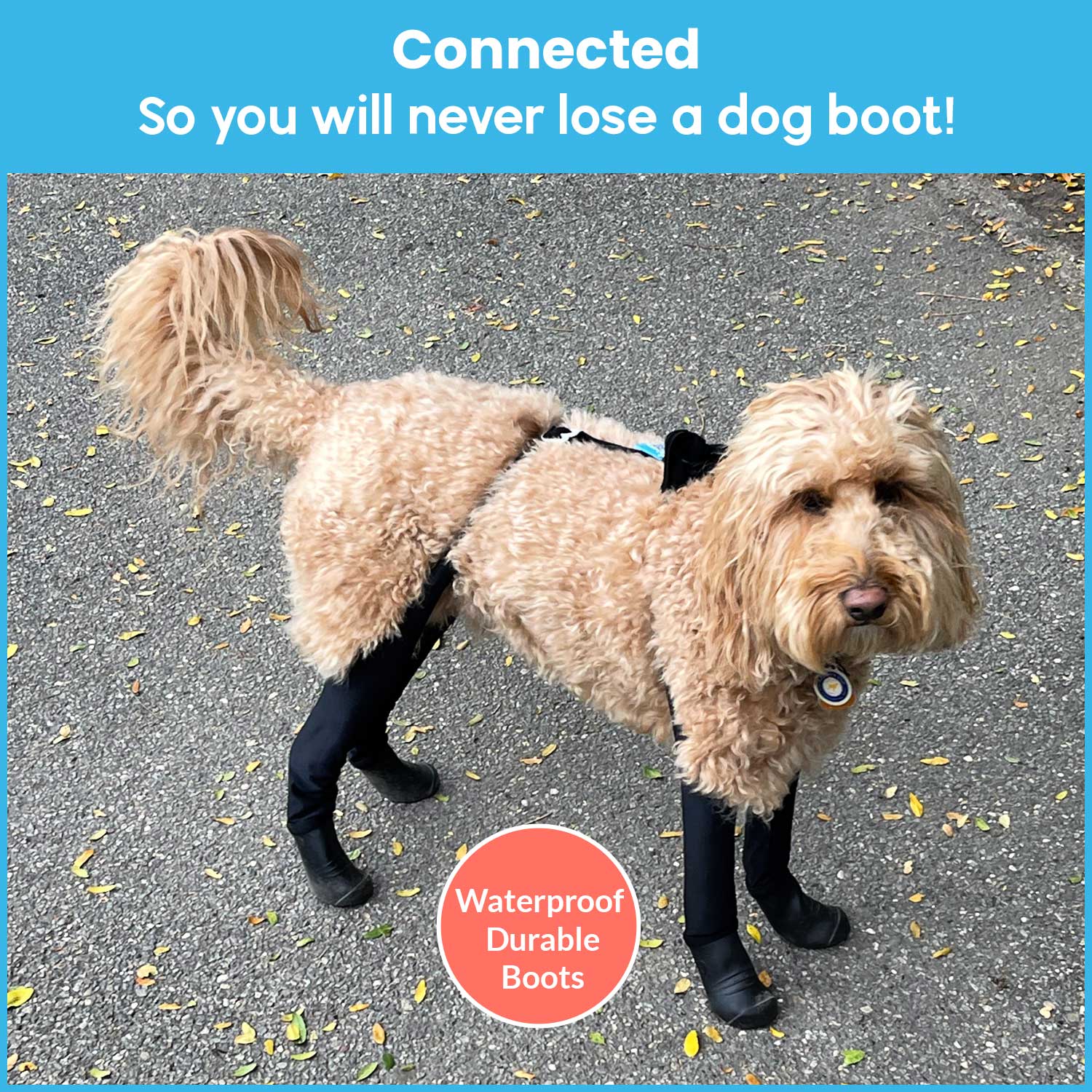 WALKEE PAWS Deluxe Dog Leggings/Booties/Socks/Shoes All-in-One, As Seen on  Shark Tank, Protects from Hot, Cold, Wet Weather, Allergens & Chemicals,  Waterproof, Never Lose a Boot Again : : Pet Supplies