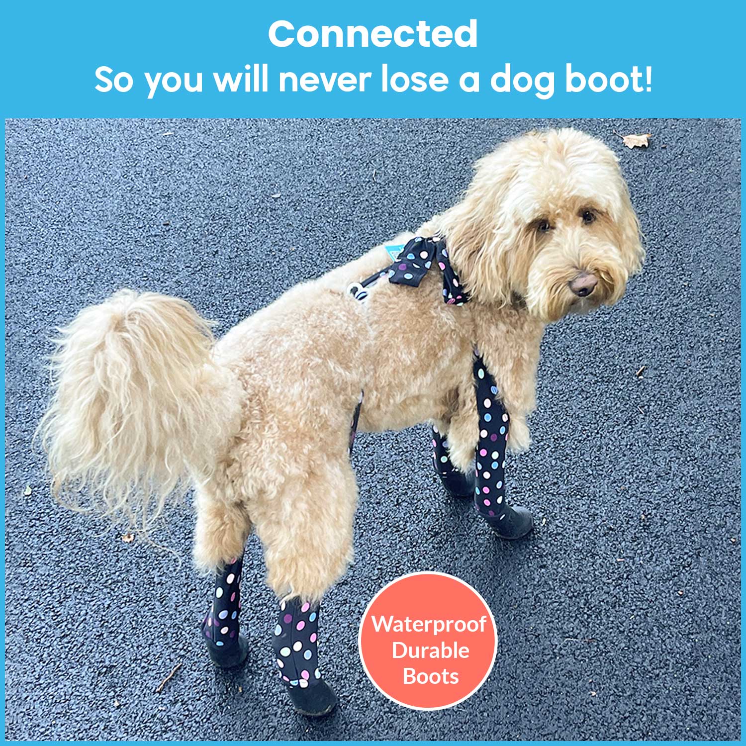 Walkee Paws New Deluxe Easy-On Stay-On Dog Boot Leggings, Seen on Shark  Tank, Dog Snowboots for Winter, Rain, Wet & Snow, Chemicals, Never Lose a  Boot