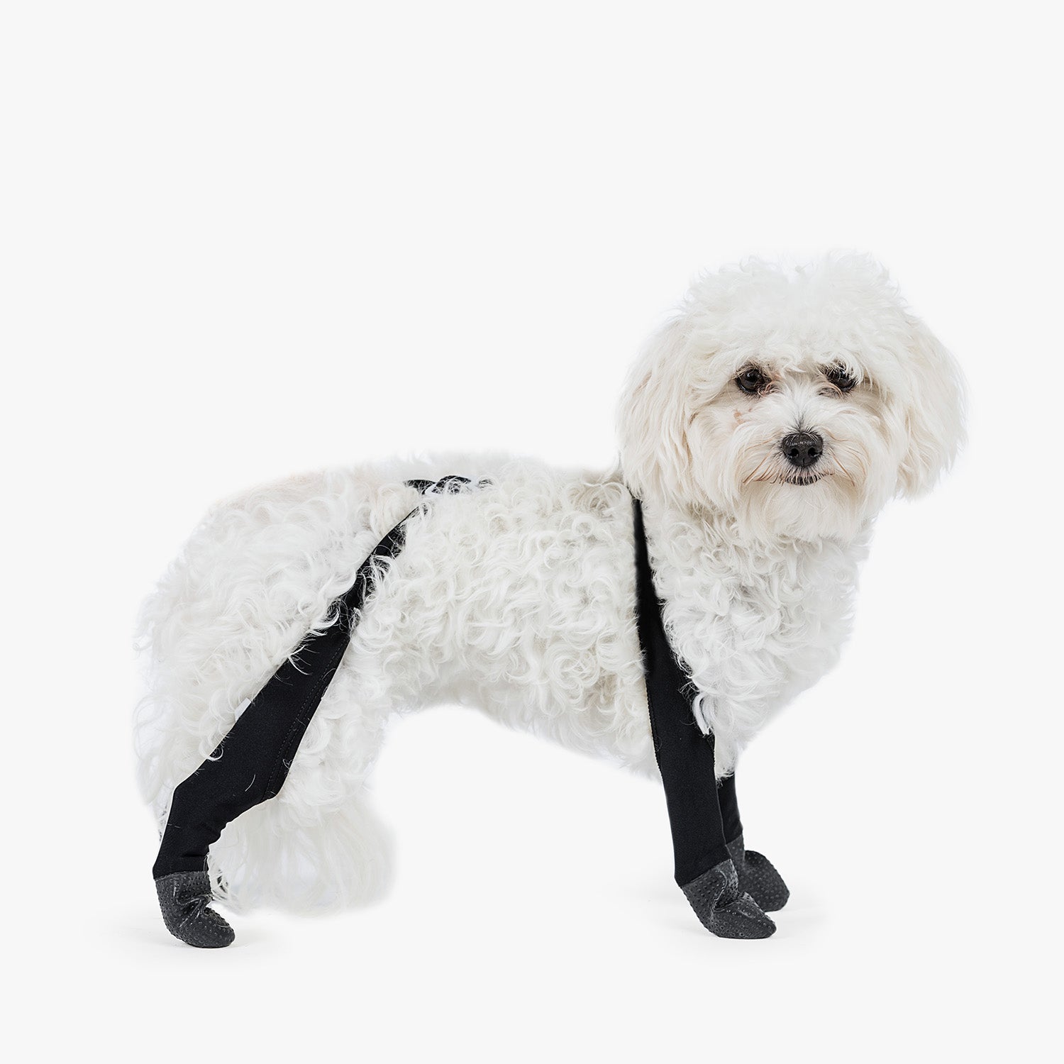 Your Pup Will Either Love or Hate You for These Dog Leggings